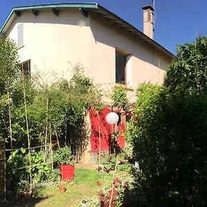 La Bulle Dans Le Palmier Toulouse